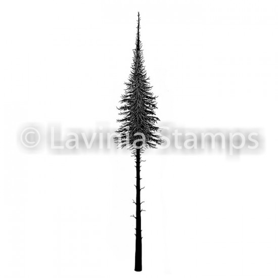 Lavinia - Estampe «Fairy Fir Tree»