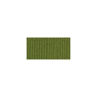 Bazzill Mono Cardstock 12