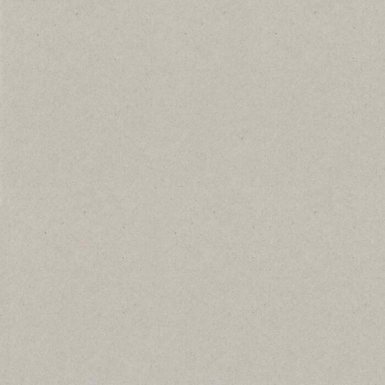 Bazzill Chipboard 12"X12" Naturel