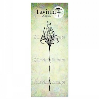 Lavinia - Estampe «Divine 2»