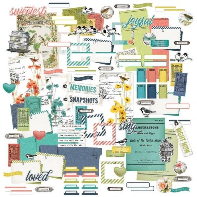 Simply Stated Design - Éphéméras «Vintage Chic Ephemera» 15 pièces