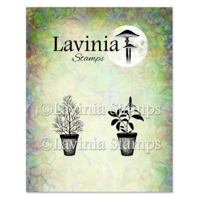 Lavinia - Estampe «Dill & Sage Pots»