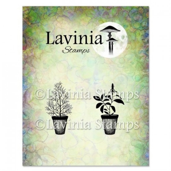 Lavinia - Estampe «Dill & Sage Pots»