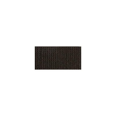 Bazzill Mono Cardstock 12