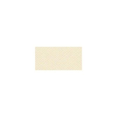 Bazzill Mono Cardstock 12
