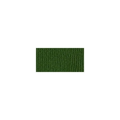 Bazzill Mono Cardstock 12