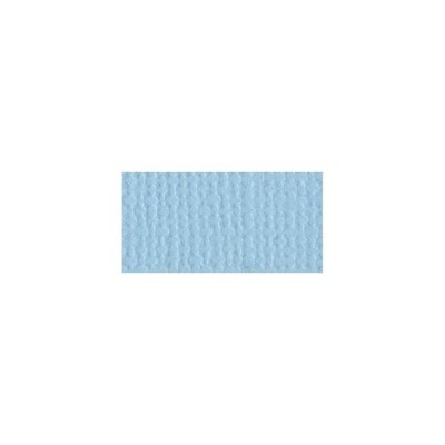 Bazzill Mono Cardstock 12