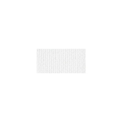 Bazzill Mono Cardstock 12
