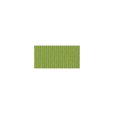 Bazzill Mono Cardstock 12