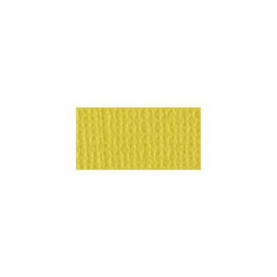 Bazzill Mono Cardstock 12