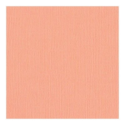 Bazzill Mono Cardstock 12