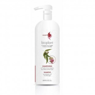 Shampoing à L'Huile D'Eucalyptus