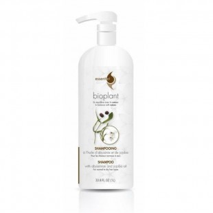 Shampoing à L'Huile D'Abyssinie et Jojoba