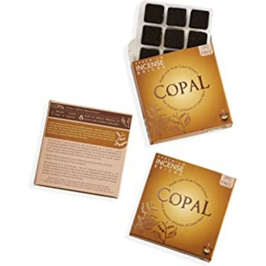 Briques de recharge Aromafume au Copal