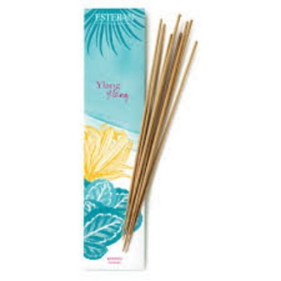 Encens Esteban Ylang-ylang  (style Indien)