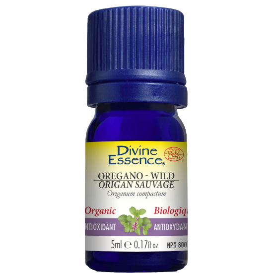 ORIGAN SAUVAGE Origanum compactum - Biologique 15ML