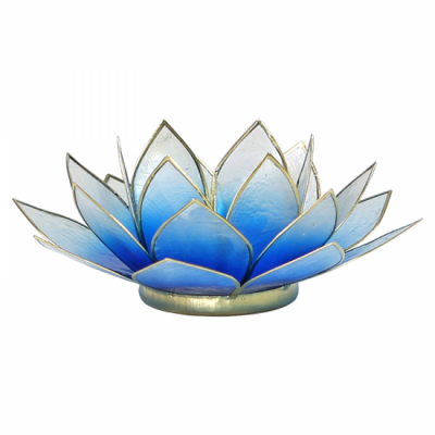  Eclairages d’ambiance Lotus - bleu → blanc -...