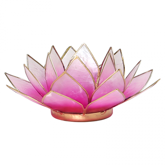 Eclairage d’ambiance Lotus rose bords or