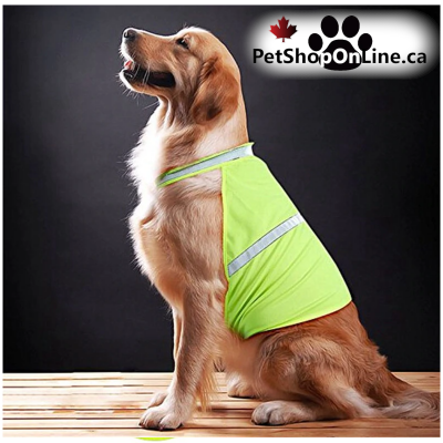 Veste de sécurité réfléchissante pour chien