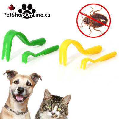 Crochets à tiques pour chat ou chien