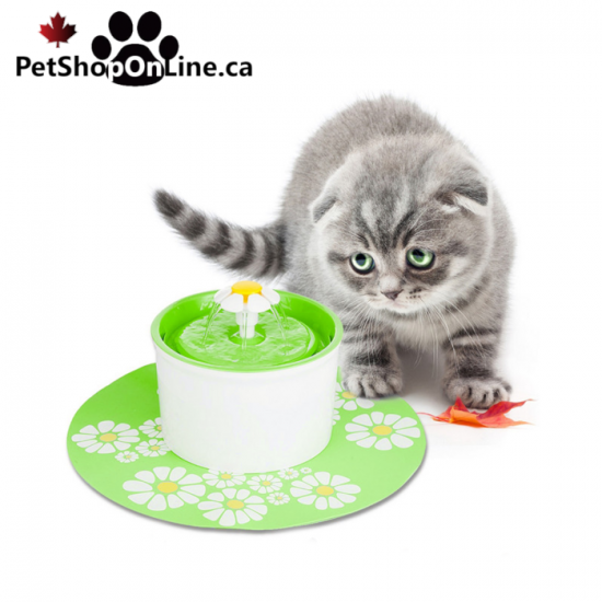 Abreuvoir pour chien ou chat + tapis protecteur + 1 filtre