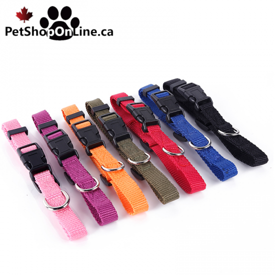 Collier chien ou chat en nylon ultra résistant disponible en 7 couleurs et 3 tailles