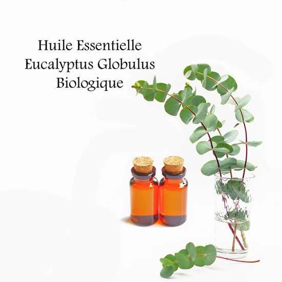 Huile essentielle Eucalyptus Globulus Biologique 15 ml