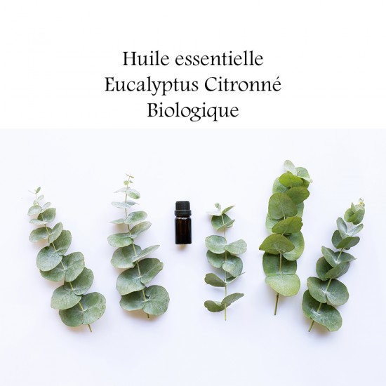 Huile essentielle - Eucalyptus citron - Biologique...