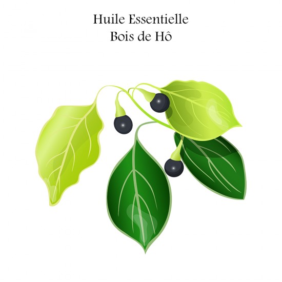 Huile Essentielle - Bois de HO 15 ml