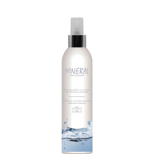 Baume démêlant Minéral 250 ml