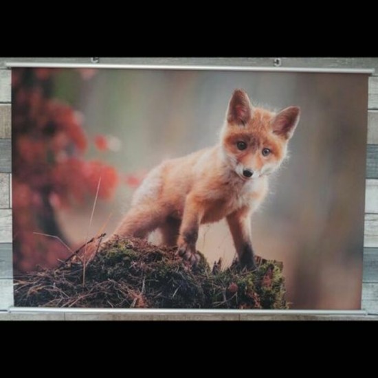 Le petit renard
