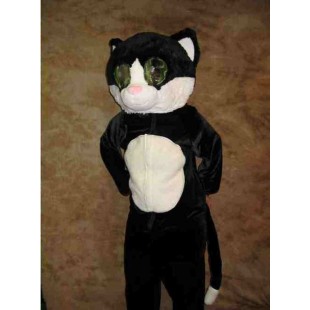 Chat- mascotte