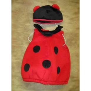 Coccinelle