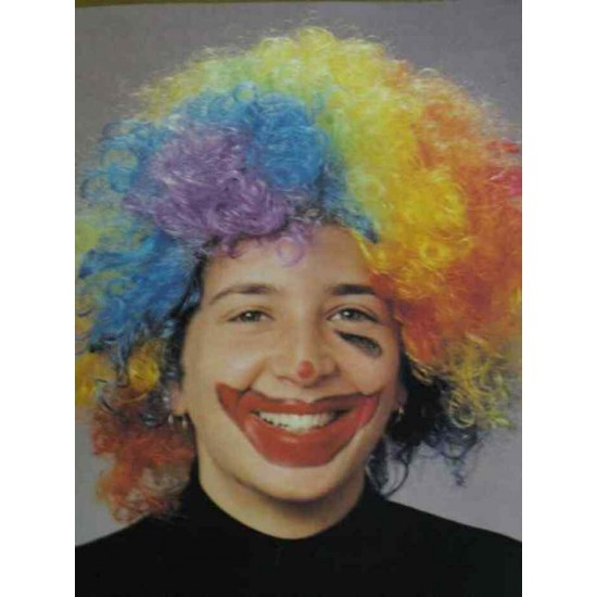 Perruque Clown multicolore couetté