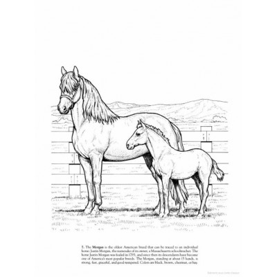 Livre à Colorier : Chevaux du Monde
