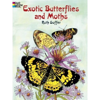 Livre à Colorier : Papillons Exotiques