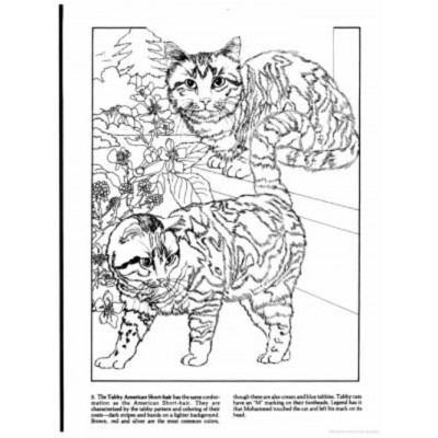 Livre à Colorier : Les Chats