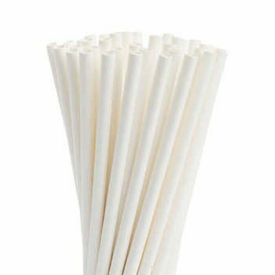 Pailles Biodégradables Blanches 20cm\100 pc