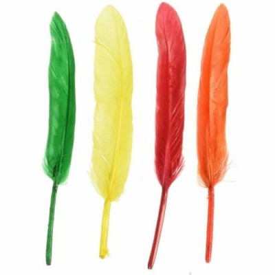 Plumes 7'' : Assorties\29 pièces