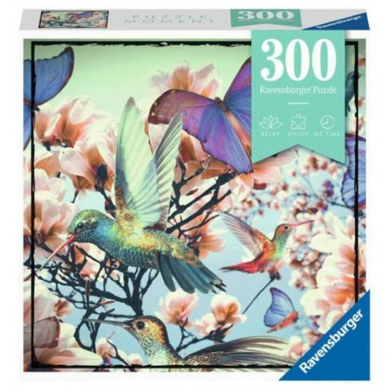 Casse-Tête / 300 mcx : Colibris