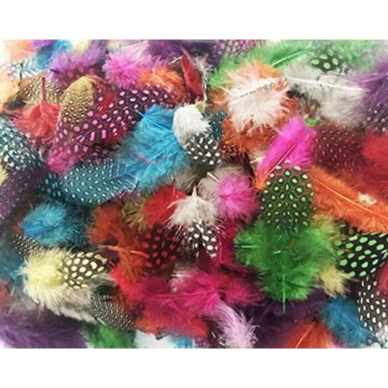 Plumes : Colorées et Tachetées\sac 8gr