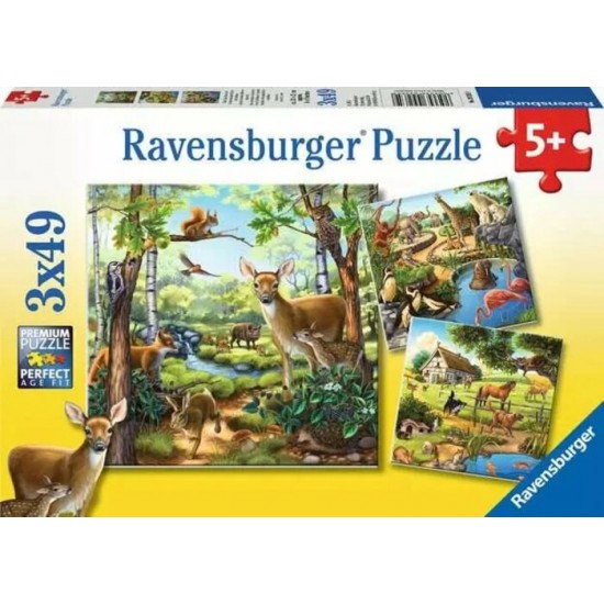 Casse-Tête / 3 x 49 mcx : Animaux Casse-Tête / 3 x 49 mcx : Animaux