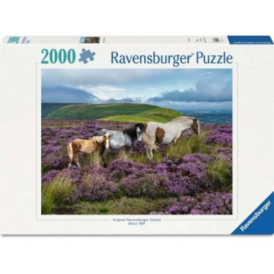 Casse-Tête / 2000 mcx : Wild Horses in the...