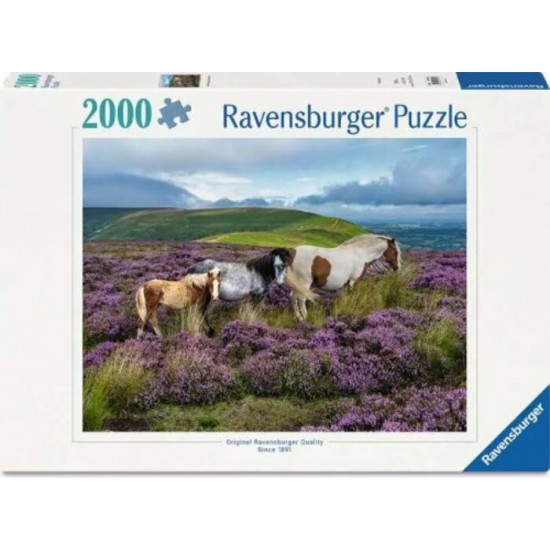 Casse-Tête / 2000 mcx : Wild Horses in the...