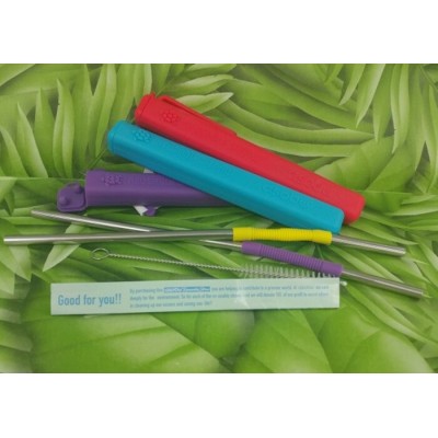 Pailles Stainless flexible