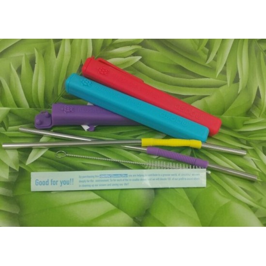 Pailles Stainless flexible