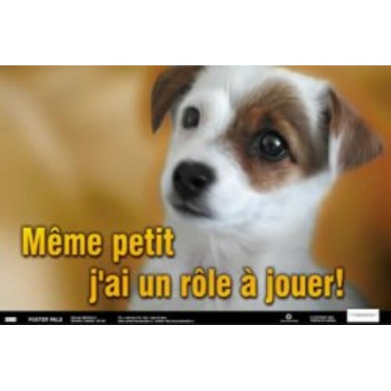 Affiche: Même Petit, J'ai un Rôle à Jouer