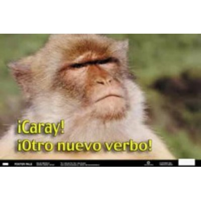 Affiche: Caray! Ostro Nuevo Verbo!