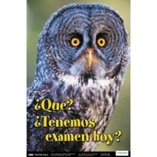 Affiche: Qué? Tenemos Examen Hoy?