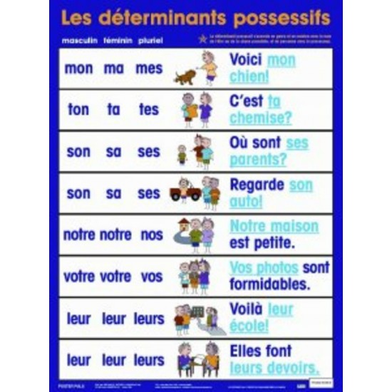 Affiche: Déterminants Possessifs